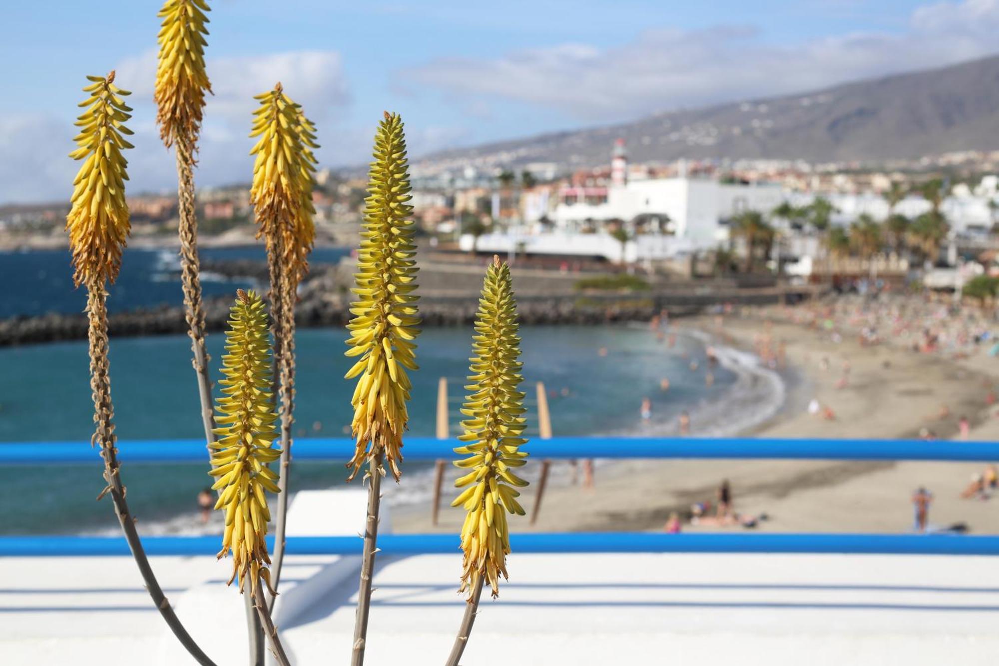 Luxury Romantic Ocean View Costa Adeje  Bagian luar foto